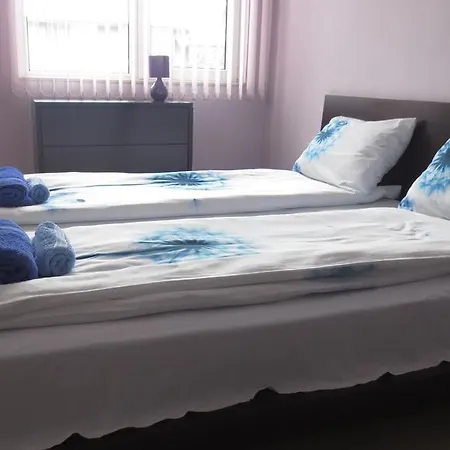 Sophie * 플로브디프