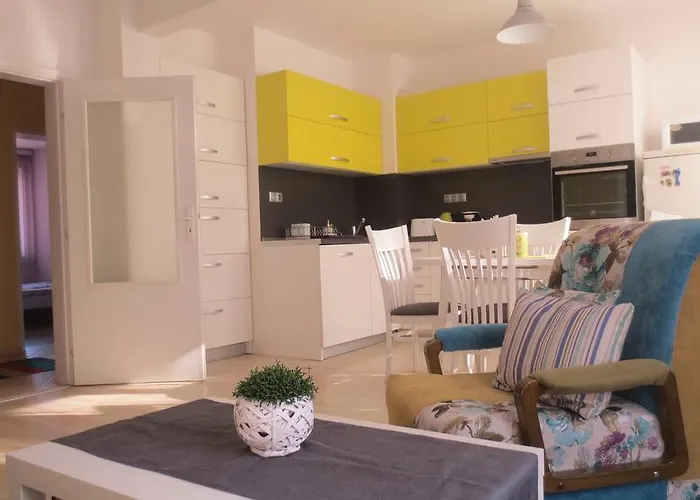 Sophie 普罗夫迪夫