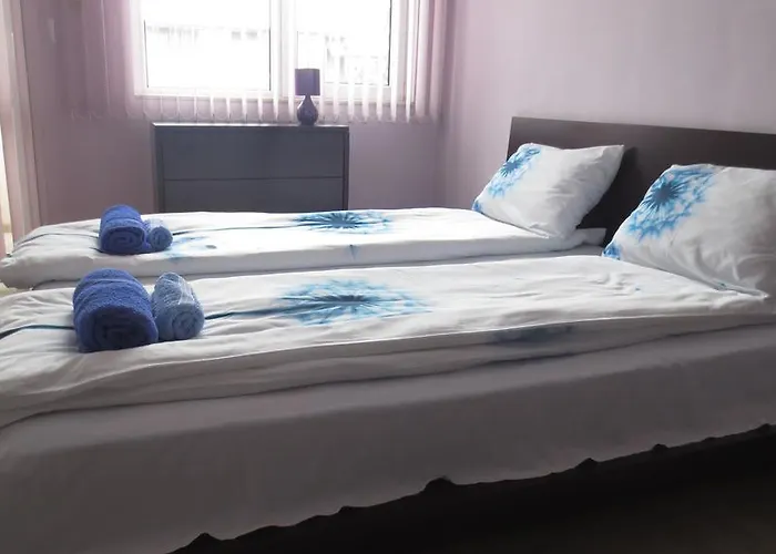 Sophie * 普罗夫迪夫